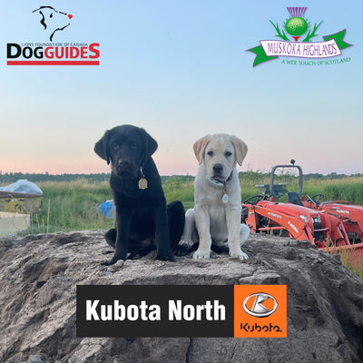 Kubota North $100,000 Par 3 Shootout in Support of Dog Guides – Individual Entry