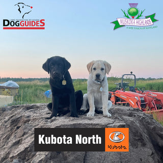 Kubota North $100,000 Par 3 Shootout in Support of Dog...